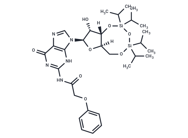 化合物 3’,5’-TIPS-N-PAc-Guanosine,3’,5’-TIPS-N-PAc-Guanosine