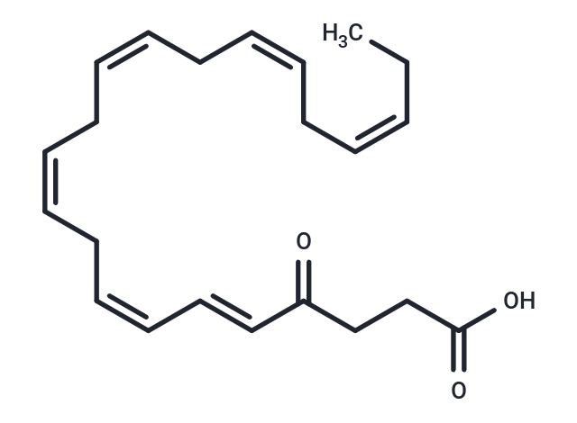 4-oxo Docosahexaenoic Acid,4-oxo Docosahexaenoic Acid