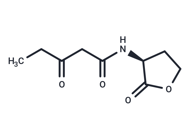 N-3-oxo-pentanoyl-L-Homoserine lactone,N-3-oxo-pentanoyl-L-Homoserine lactone