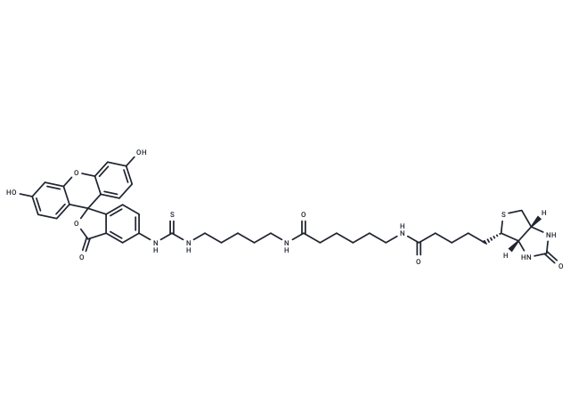 骨化二醇,Fluorescein Biotin