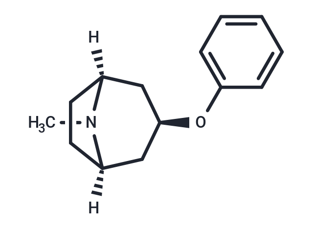 化合物 NK-1145,NK-1145