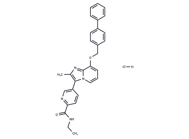 化合物 Aβ42-IN-1,Aβ42-IN-1