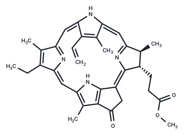 焦脫鎂葉綠酸 a 甲酯,Methyl pyropheophorbide-a