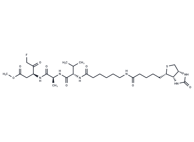 化合物 Biotin-VAD-FMK,Biotin-VAD-FMK