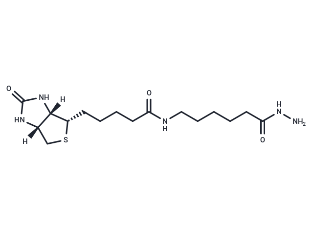 生物素LC酰肼,Biotin LC hydrazide