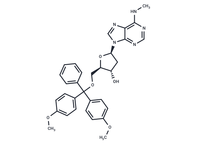 5'-O-DMT-N6-Me-2'-dA,5'-O-DMT-N6-Me-2'-dA