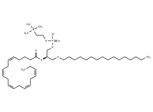 化合物 1-O-hexadecyl-2-Eicosapentaenoyl-sn-glycero-3-PC,1-O-hexadecyl-2-Eicosapentaenoyl-sn-glycero-3-PC