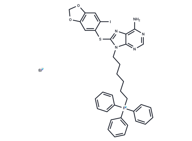 化合物 SMTIN-P01,SMTIN-P01