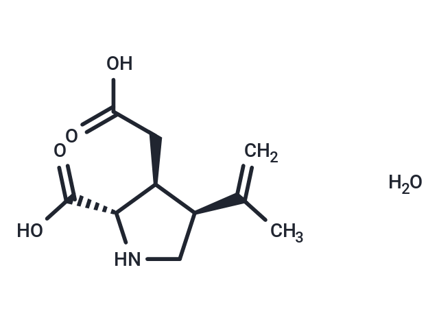 (-)-(α)-Kainic Acid (hydrate),(-)-(α)-Kainic Acid (hydrate)