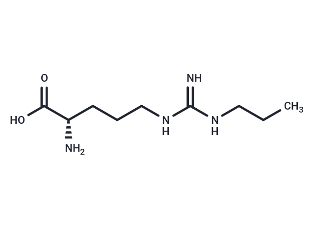 Nω-Propyl-L-arginine,Nω-Propyl-L-arginine