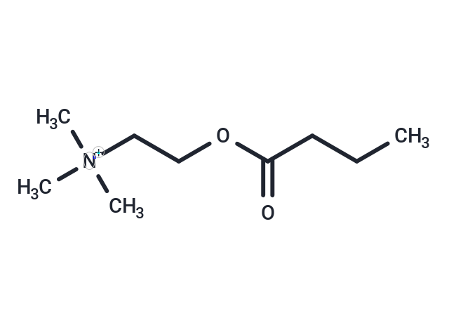 化合物 Butyrylcholine,Butyrylcholine