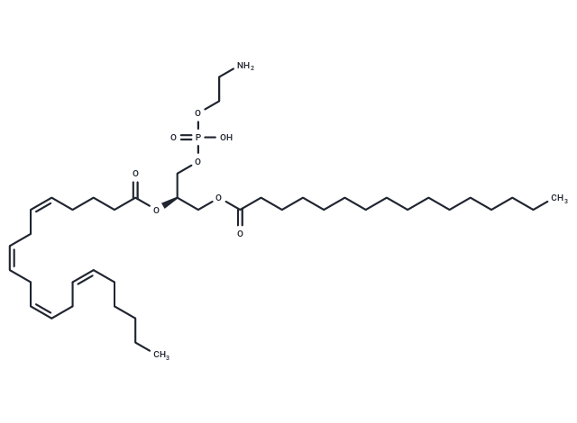 化合物 1-Palmitoyl-2-Arachidonoyl-sn-glycero-3-PE,1-Palmitoyl-2-Arachidonoyl-sn-glycero-3-PE