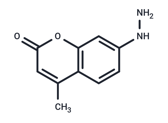 化合物 Coumarin hydrazine,Coumarin hydrazine