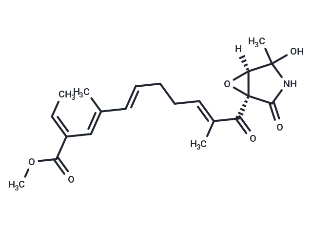 化合物 Epolactaene,Epolactaene