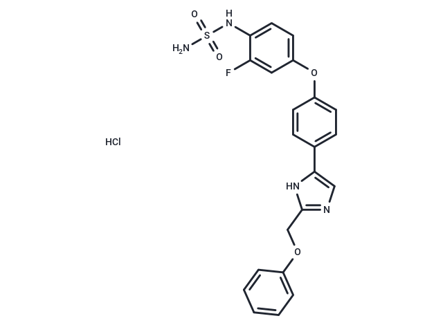 化合物 IRC-083927 HCl,IRC-083927 HCl