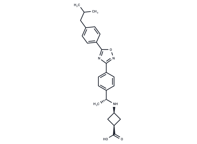 化合物 PF-462991,PF-462991