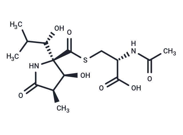 蛋白酶體抑制劑,Lactacystin