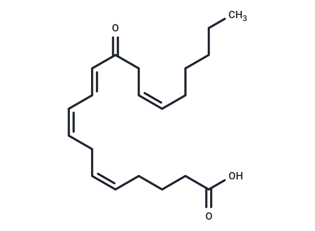 12-OxoETE,12-OxoETE