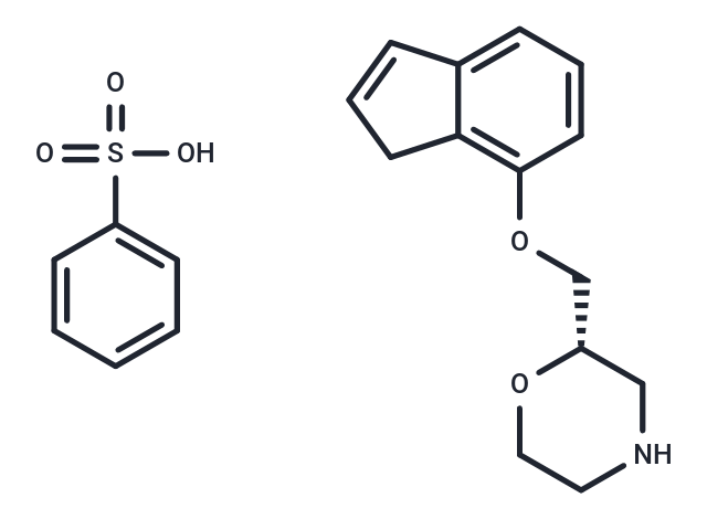 化合物 AS1069562,AS1069562