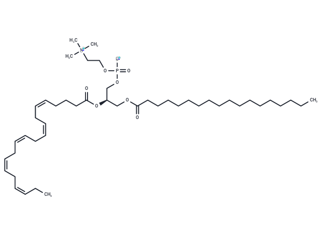 化合物 1-Stearoyl-2-Eicosapentaenoyl-sn-glycero-3-PC,1-Stearoyl-2-Eicosapentaenoyl-sn-glycero-3-PC