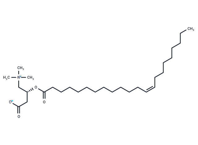 化合物 Erucyllevocarnitine,Erucyllevocarnitine