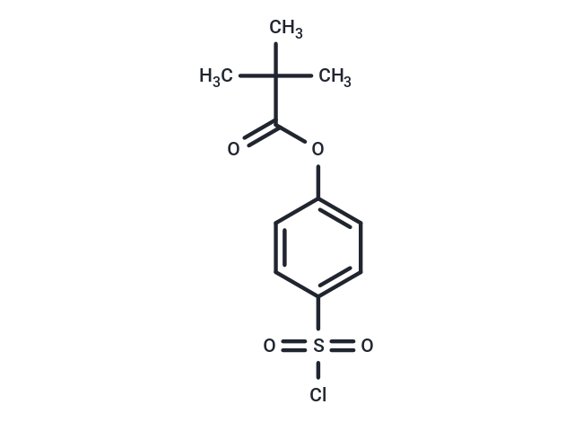 化合物 4-(Chlorosulfonyl)phenyl pivalate,4-(Chlorosulfonyl)phenyl pivalate