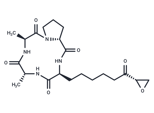 HC Toxin,HC Toxin