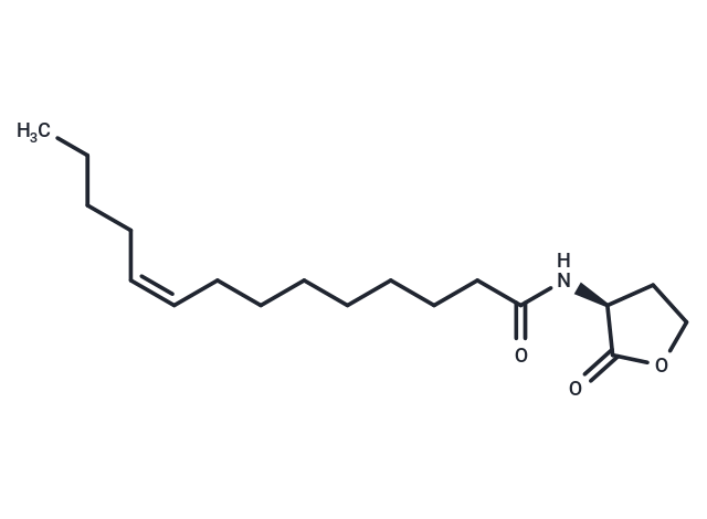 N-cis-tetradec-9Z-enoyl-L-Homoserine lactone,N-cis-tetradec-9Z-enoyl-L-Homoserine lactone