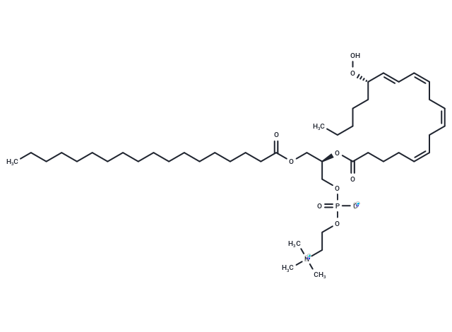 1-Stearoyl-2-15(S)-HpETE-sn-glycero-3-PC,1-Stearoyl-2-15(S)-HpETE-sn-glycero-3-PC