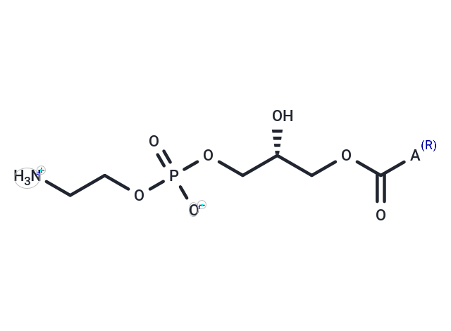 Lysophosphatidylethanolamines (egg),Lysophosphatidylethanolamines (egg)