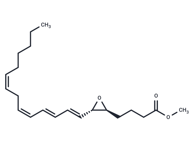 Leukotriene A4 methyl ester,Leukotriene A4 methyl ester