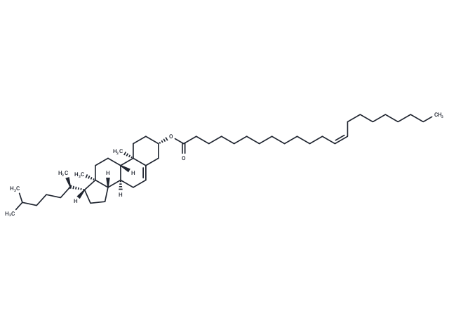 Cholesteryl Erucate,Cholesteryl Erucate