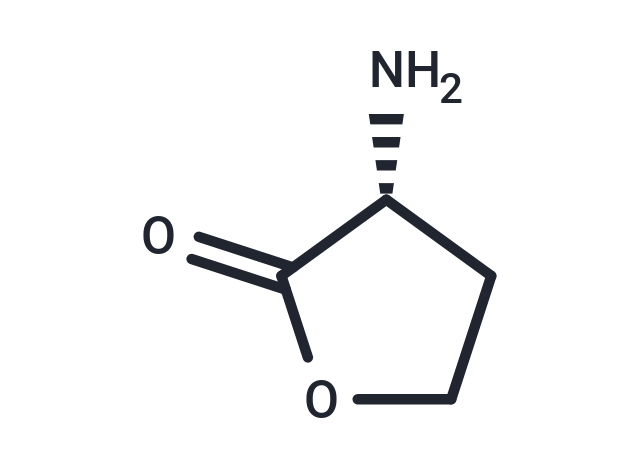 D-Homoserine lactone,D-Homoserine lactone