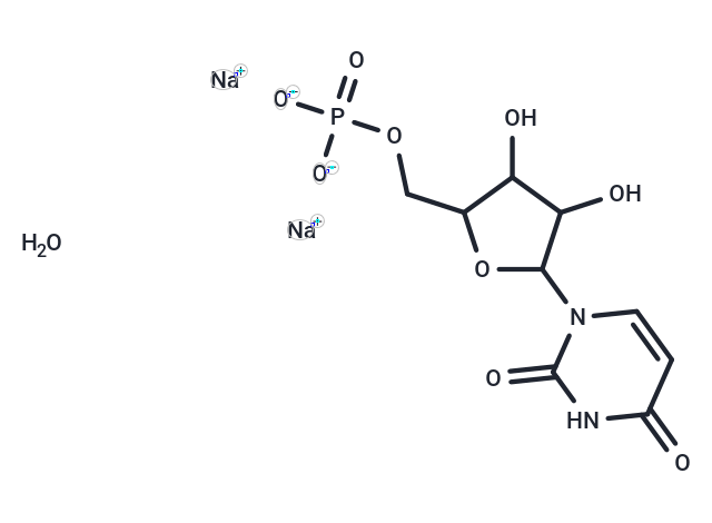 Uridine-5’-monophosphate (sodium salt hydrate),Uridine-5’-monophosphate (sodium salt hydrate)