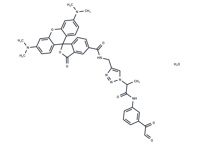 Citrulline-specific Probe-Rhodamine,Citrulline-specific Probe-Rhodamine