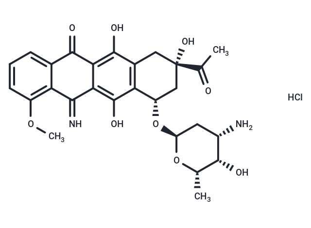 化合物 5-Iminodaunorubicin hydrochloride,5-Iminodaunorubicin hydrochloride