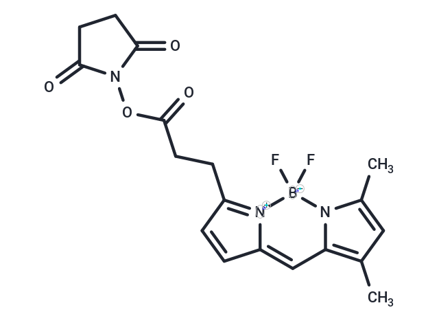 化合物 BODIPY-FL NHS ester,BODIPY-FL NHS ester