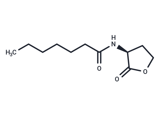 化合物 N-Heptanoyl-L-homoserine lactone,N-Heptanoyl-L-homoserine lactone