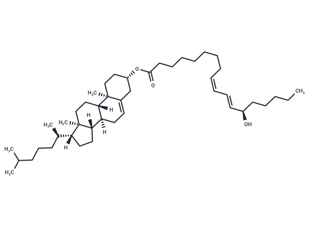 13(R)-HODE cholesteryl ester,13(R)-HODE cholesteryl ester