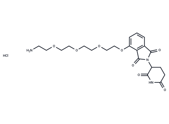 Thalidomide-PEG4-NH2 hydrochloride,Thalidomide-PEG4-NH2 hydrochloride