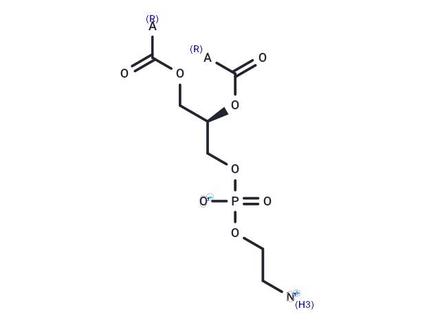 Phosphatidylethanolamines (soy),Phosphatidylethanolamines (soy)