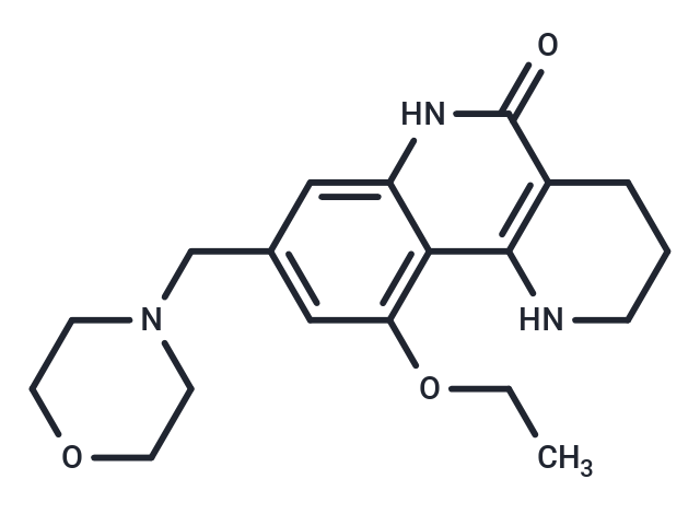 化合物 Amelparib,Amelparib