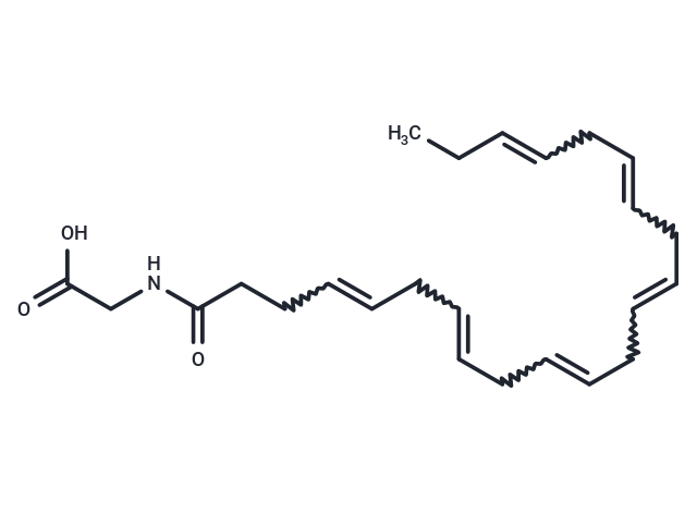 Docosahexaenoyl Glycine,Docosahexaenoyl Glycine