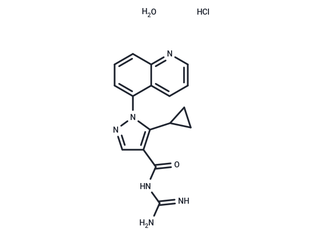 化合物 Zoniporide hydrochloride hydrate,Zoniporide hydrochloride hydrate