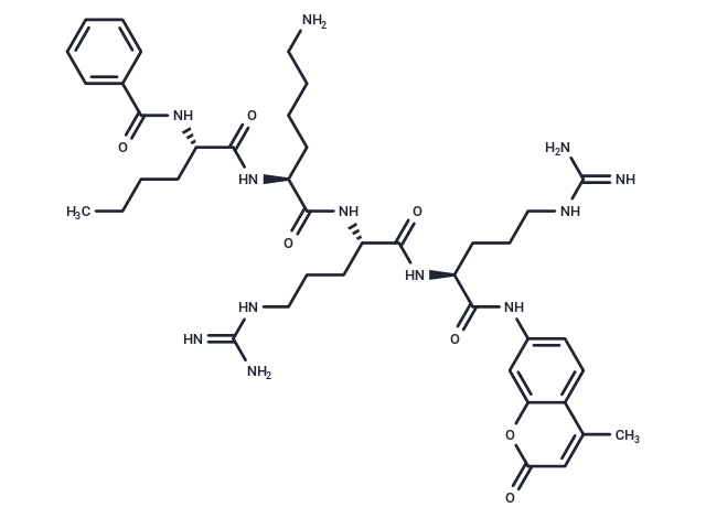 Bz-Nle-Lys-Arg-Arg-AMC,Bz-Nle-Lys-Arg-Arg-AMC