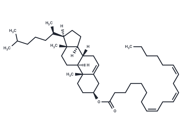 Cholesteryl Homo-γ-Linolenate,Cholesteryl Homo-γ-Linolenate