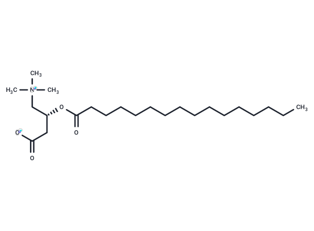 棕櫚酰肉堿,L-Palmitoylcarnitine