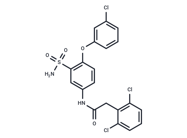 化合物 P2X4 antagonist-1,P2X4 antagonist-1