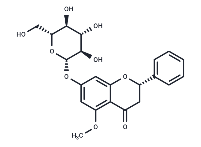 5-甲氧基-喬松苷,5-MethoxyPinocembroside