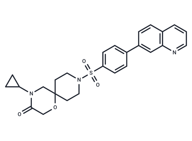 化合物 FASN-IN-4,FASN-IN-4